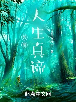 领悟人生真谛把握人生方向总结与思考